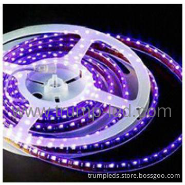 christmas led lights indoor
